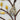 Vedas Yashvi Tree Wall Mounted and Hanging Sculpture Wall Decor Art
